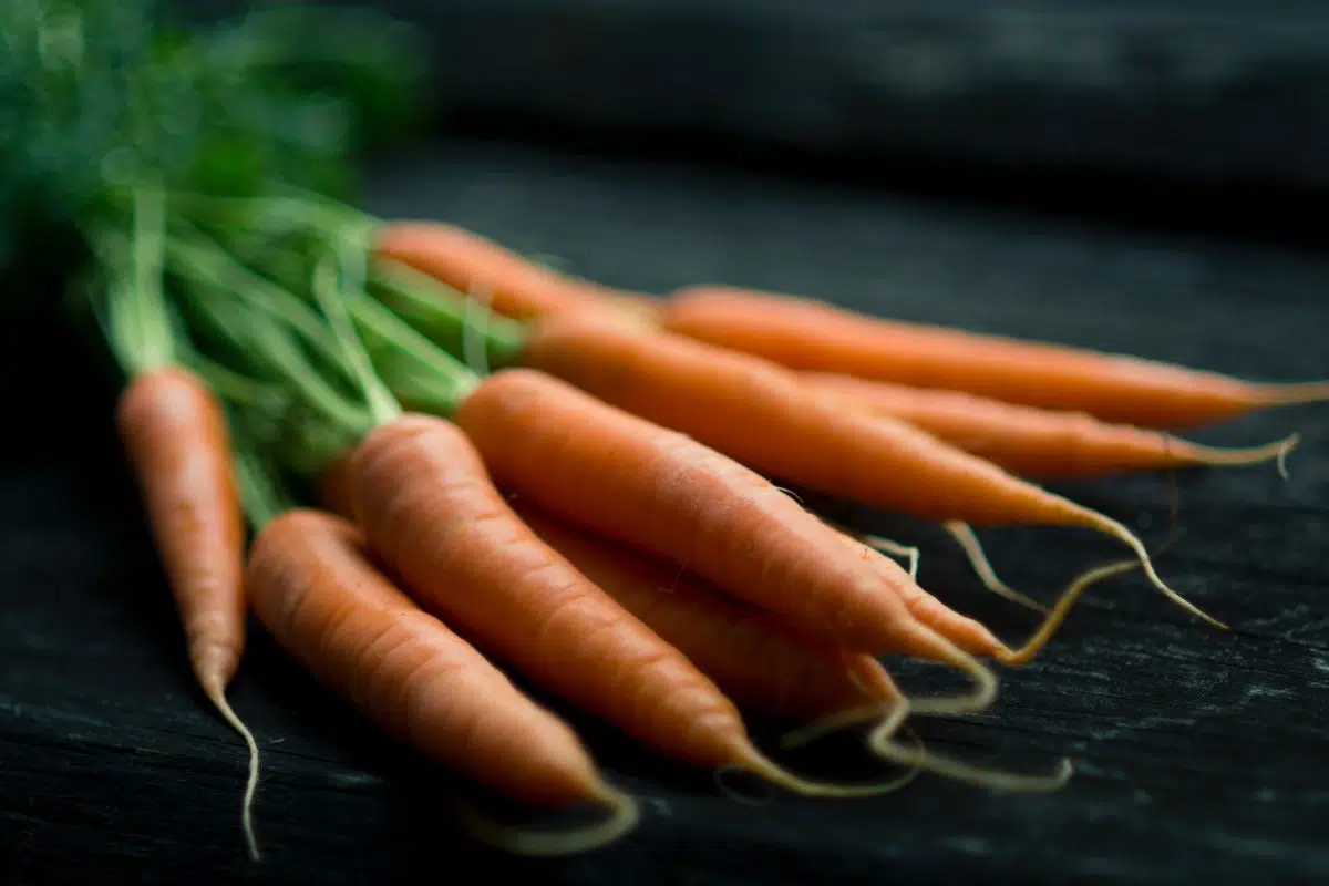 Fresh Carrots